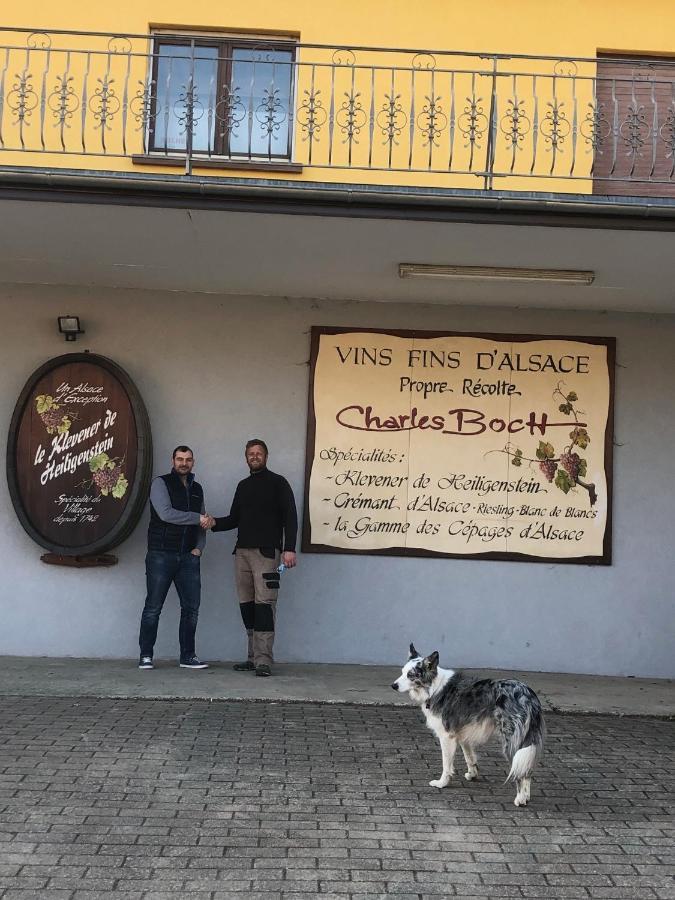 Sollaris Appartement 1Ere Etage A 11Km De Europa-Park Friesenheim Εξωτερικό φωτογραφία
